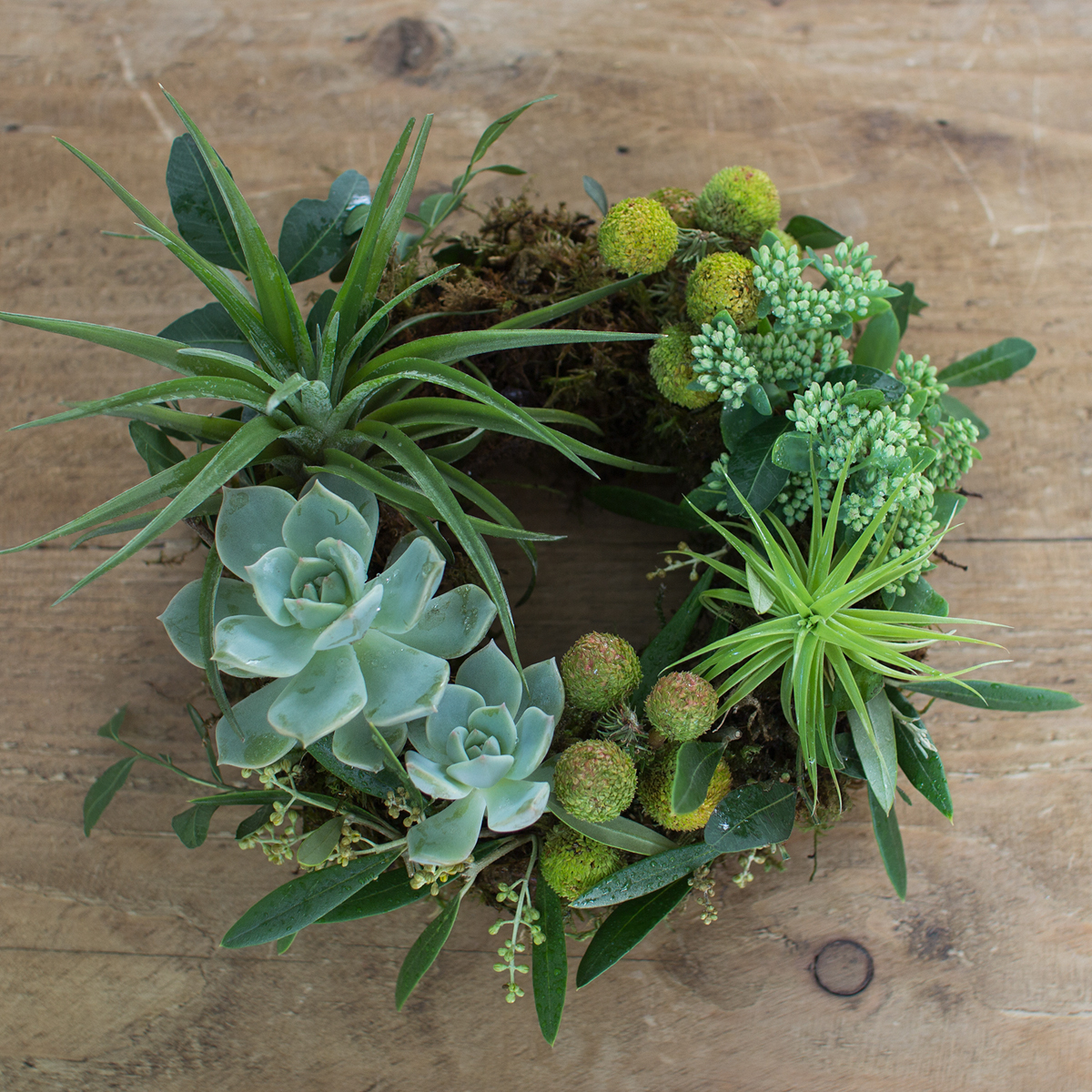 ネイティブフラワーフレッシュリース | kusakanmuri