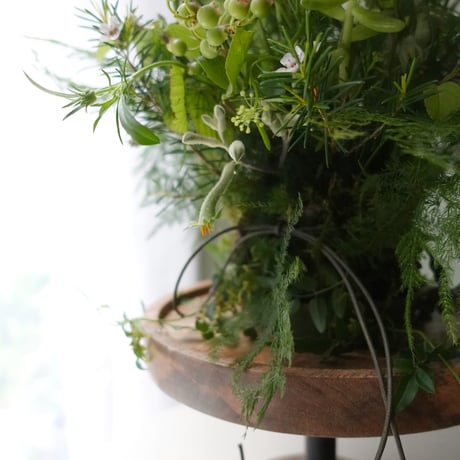 6月ワークショップ「苔の器から作る初夏アレンジ」
