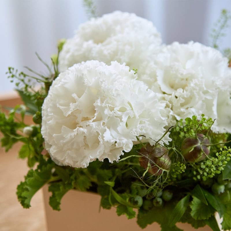 ことばの花箱 [ 思いやり ] トルコキキョウ | kusakanmuri