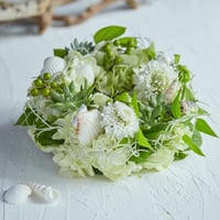 汐風のサマーリース《夏限定》