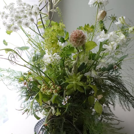 6月ワークショップ「苔の器から作る初夏アレンジ」