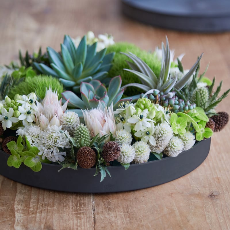 ネイティブフラワーのパネルアレンジ V7K9IaUXB5QvNLo9JSK6tG7TarrDKA