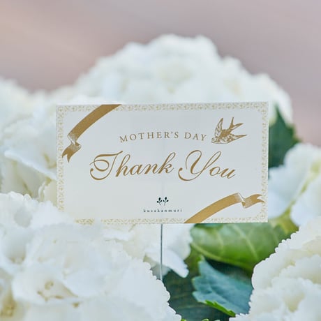母の日限定カード（MOTHER'S DAY Thank You・無料）