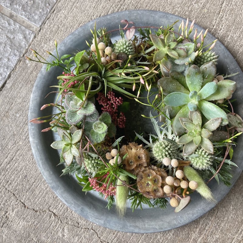 ネイティブフラワーフレッシュリース | kusakanmuri