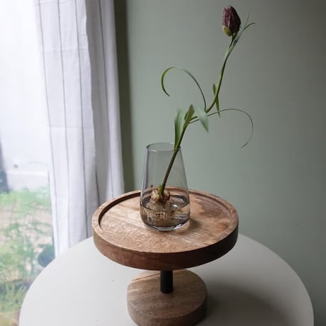 6月ワークショップ「苔の器から作る初夏アレンジ」