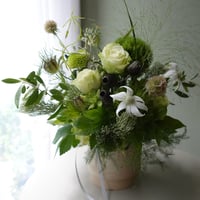 Bonne Fête Papa ボン・フェット・パパ《父の日限定》