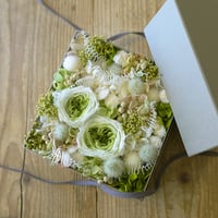 Boite de bonheur [ 幸せのボックス ]（グリーン） Mサイズ