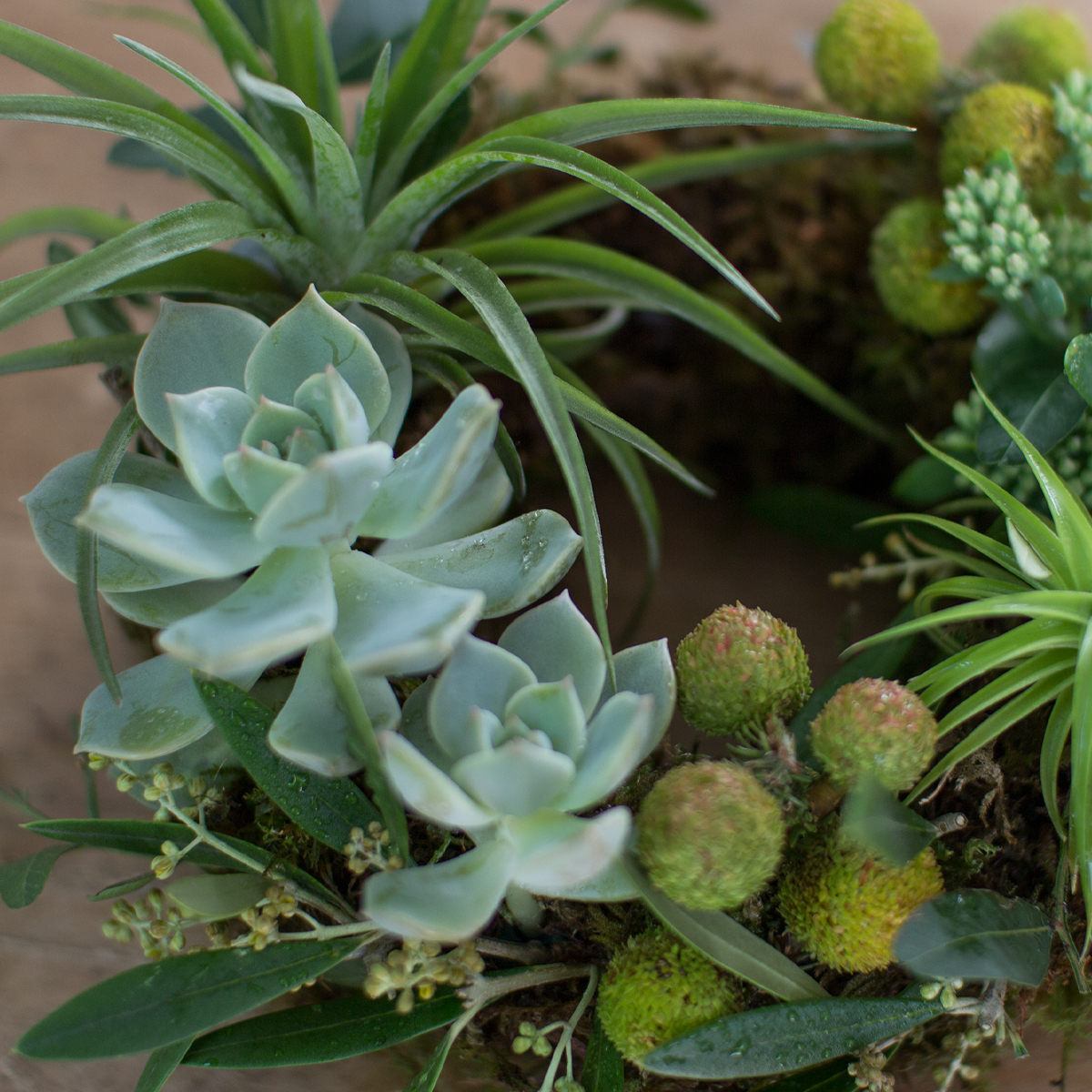 ⑬＊ネイティブフラワーガーランド＊フレッシュ状態＊確認用 ネイティブフラワーフレッシュリース | kusakanmuri