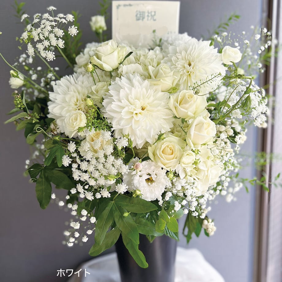 64ae496fb71e15003456db9a