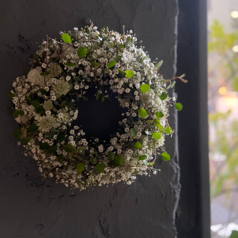 かすみ草入荷　今だけ　リース　かすみ草 0_cd362910ababb8eb481604545649