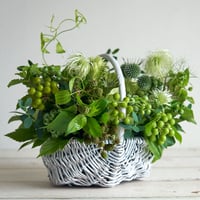 Very Berry Basket《夏限定》
