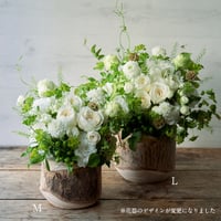 花咲く切り株アレンジメント