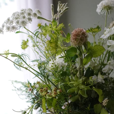 6月ワークショップ「苔の器から作る初夏アレンジ」