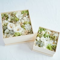 Boite de bonheur [ 幸せのボックス ]（ホワイト）