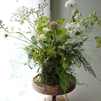 6月ワークショップ「苔の器から作る初夏アレンジ」