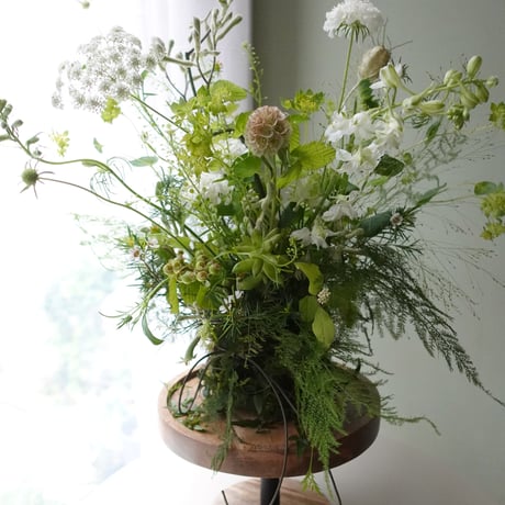 6月ワークショップ「苔の器から作る初夏アレンジ」