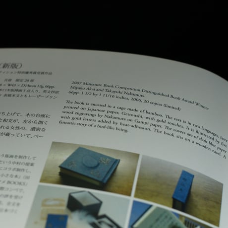 Miyako Akai Kototsubo A Catalogue Raisonne 2002-2010  赤井都　言壺　カタログレゾネ　2002-2010