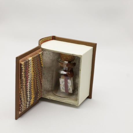 Small Gift  in book box