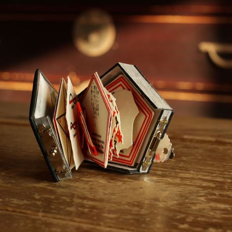 Beautiful Book - Collector's Edition 美しい本 -愛書家版