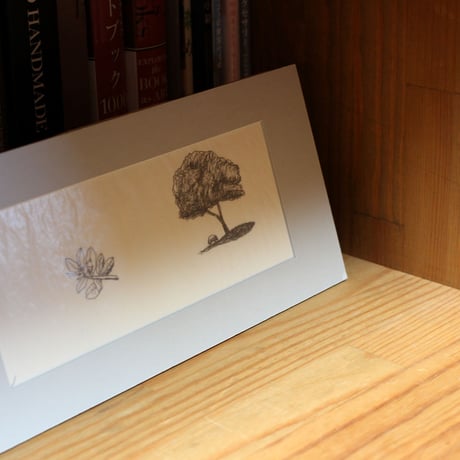 Original Drawings ペン原画