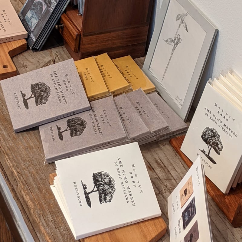 Ame ni mo Makezu soft cover 『雨ニモ負ケズ』フランス装 | Miy