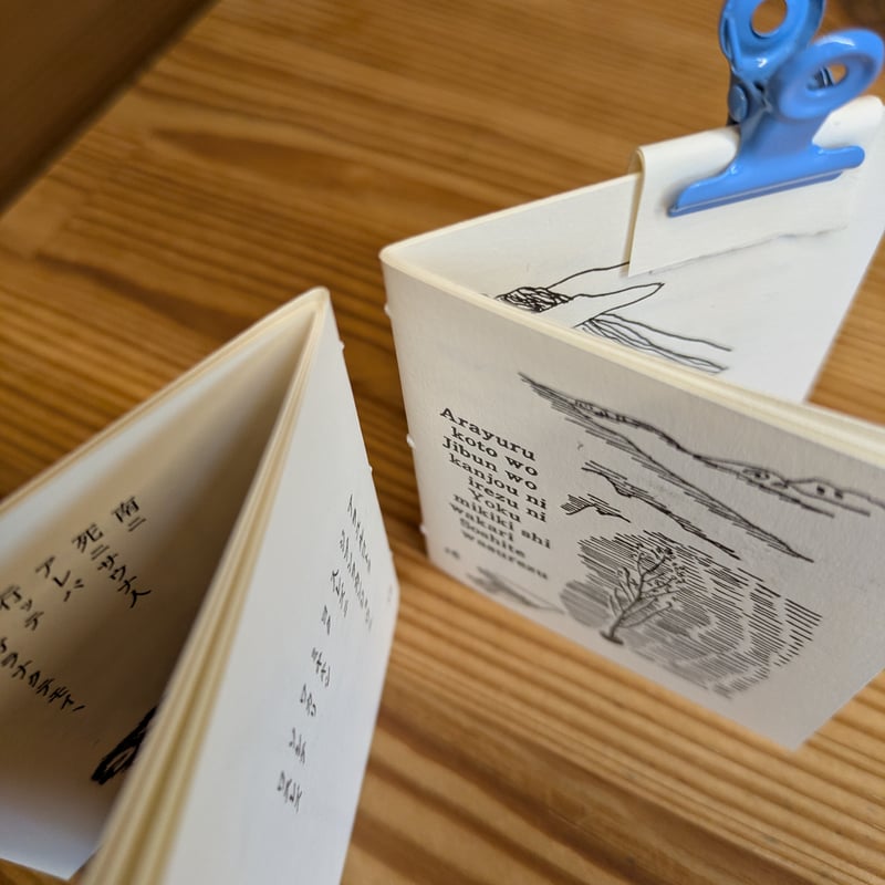 Ame ni mo Makezu soft cover 『雨ニモ負ケズ』フランス装 | Miy