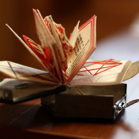 Beautiful Book - Collector's Edition 美しい本 -愛書家版