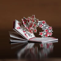 Beautiful Book -Normal Edition　美しい本　普及版