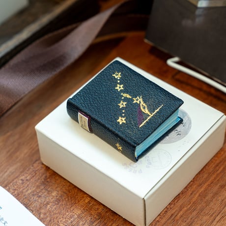 Miyako Akai's miniature book STORE