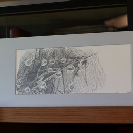 Original Drawings ペン原画