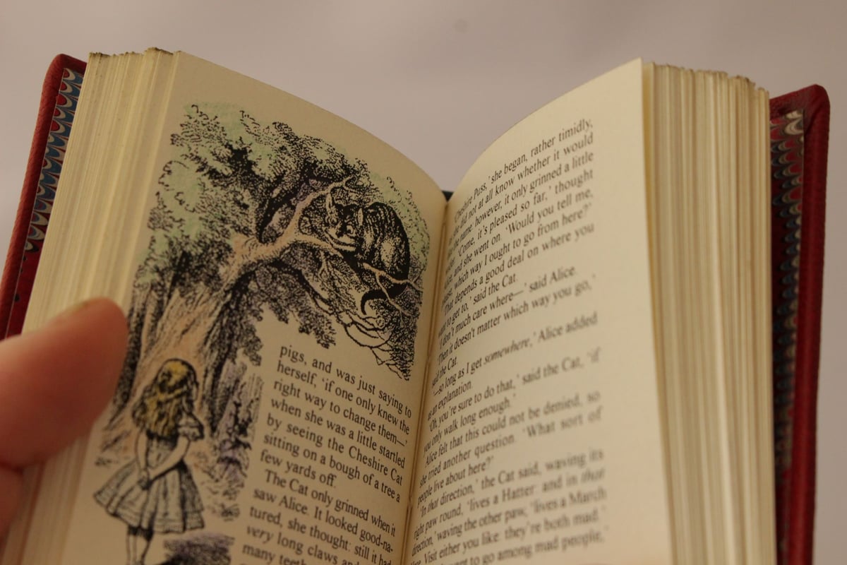 Alice's Adventures in Wonderland -Collector's E