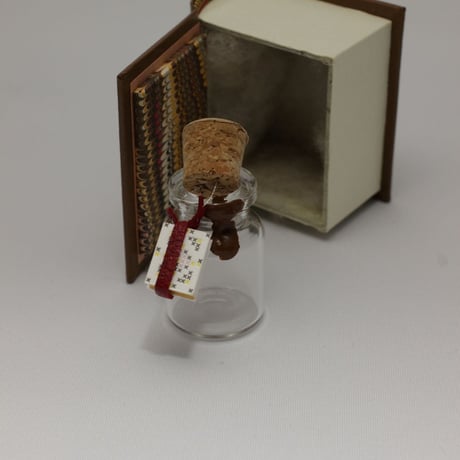 Small Gift  in book box
