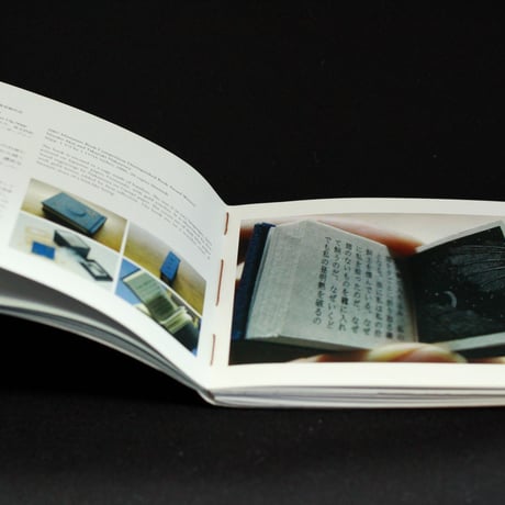 Miyako Akai Kototsubo A Catalogue Raisonne 2002-2010  赤井都　言壺　カタログレゾネ　2002-2010