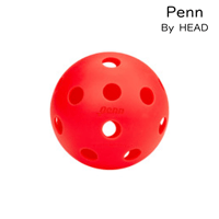 Penn　26 インドア用