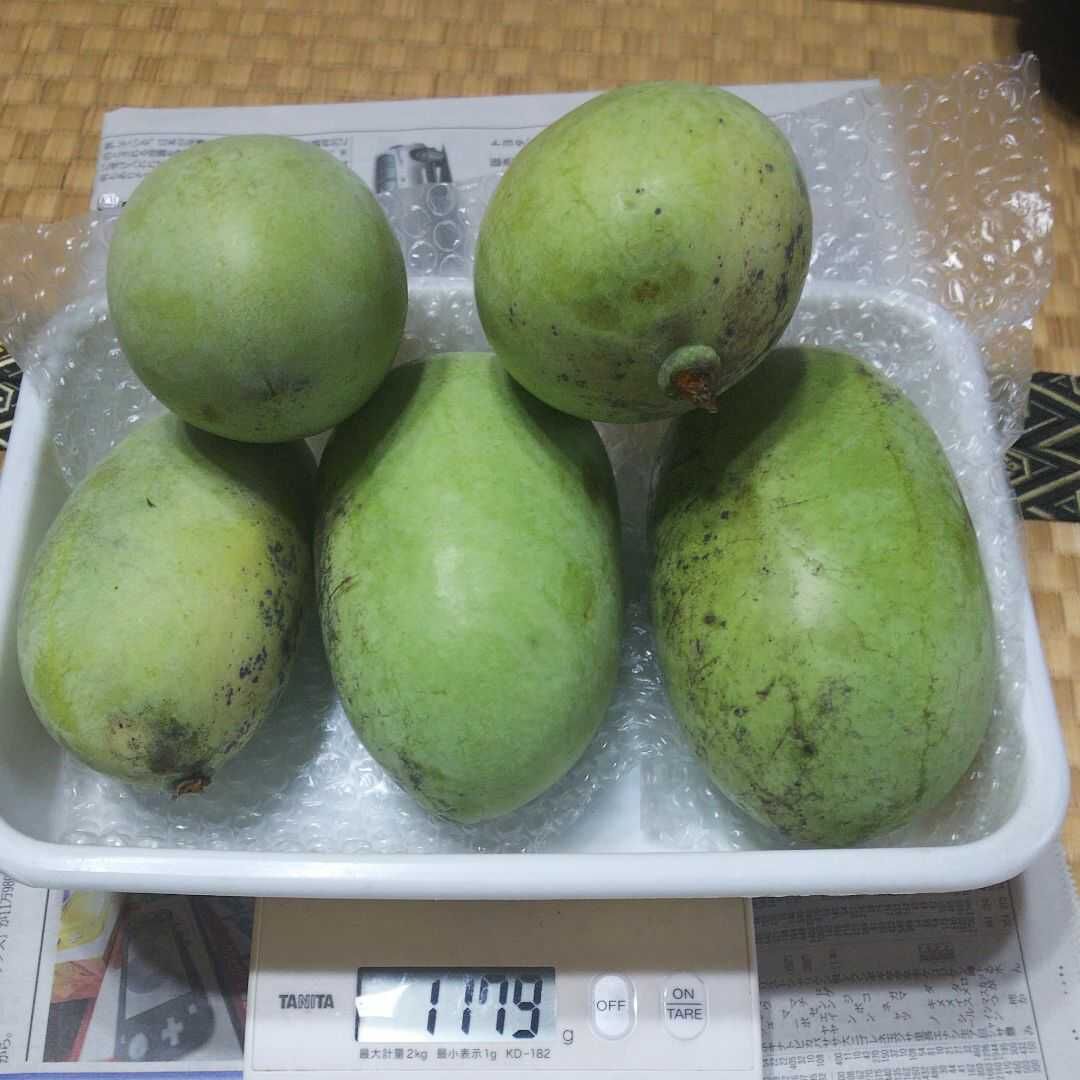 幻のポポー　冷凍 5KG 真空パックにて配送します。小分けも対応 ポポー（5個、1kg以上2kg以下、写真と発送するポポーは