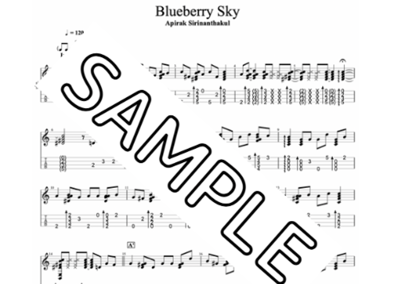 Blueberry Sky | sakashin STORE