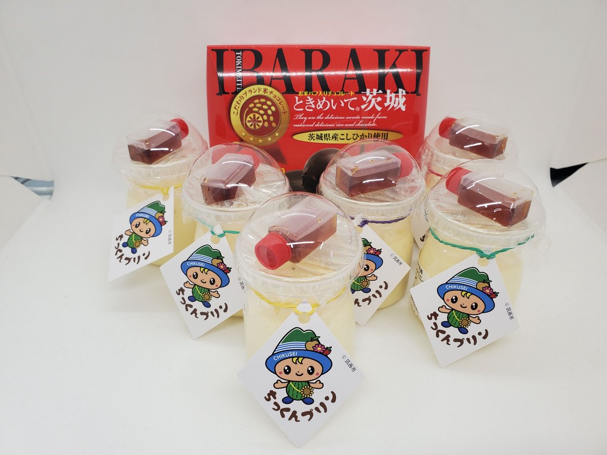 チョコプリン出品 守山乳業 公式ストア チョコレートプリン プラス 551g 12本