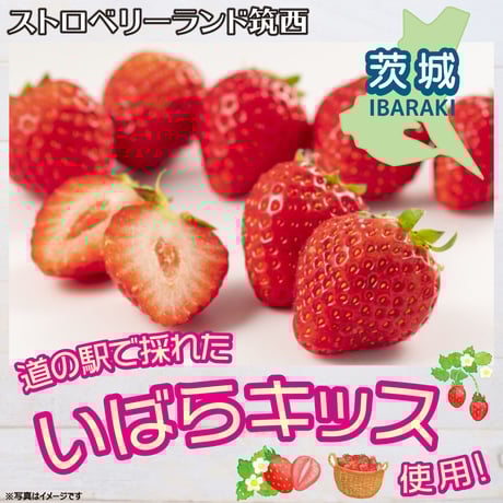 【大3本セット】いちごのむヨーグルト  500ml×3　＜道の駅グランテラス筑西オリジナル＞（送料込み）