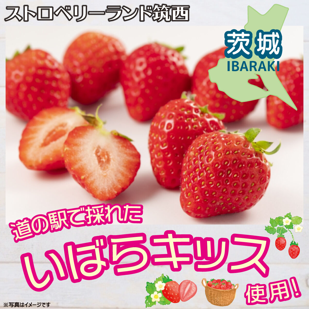 大3本セット】いちごのむヨーグルト 500ml×3 ＜道の駅グランテラス筑西