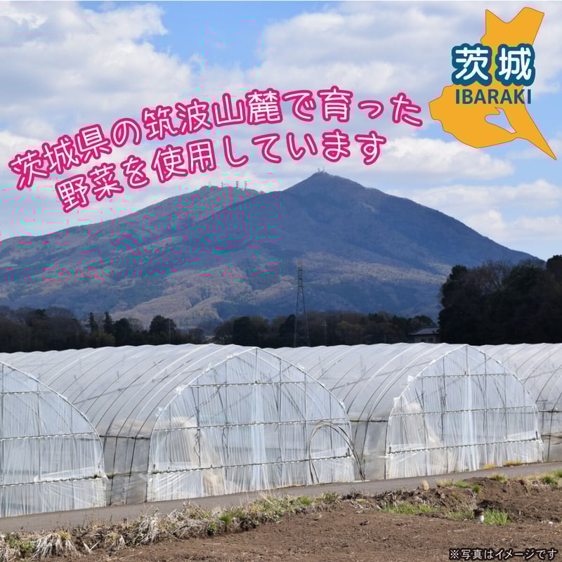 「さぬきの極」にんじんジュース　4本セット KAGOME カゴメ 高β-カロテン にんじんジュース 720ml ペット