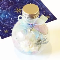 再販*期間限定『宝石の森〜永遠のダイヤモンド〜』プリザーブド