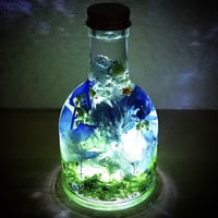 期間限定『宝石の森〜麗しのルビー〜』プリザーブドフラワーと