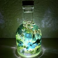 期間限定『宝石の森〜麗しのルビー〜』プリザーブドフラワーと