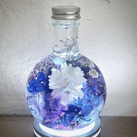 期間限定『宝石の森〜麗しのルビー〜』プリザーブドフラワーと