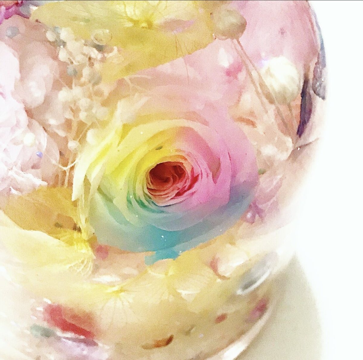 再販*期間限定『虹色の森』プリザーブドフラワーとクリスタルの