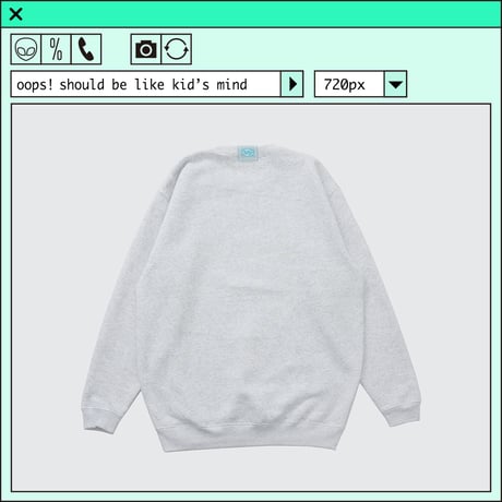 %psh Hyena sweat　/　OPS-2403 ASH