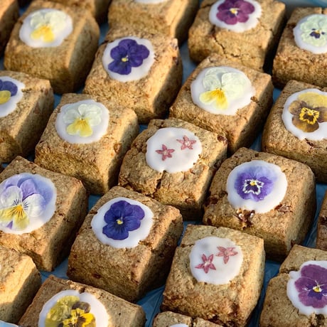 春のスコーン set(再販売)/5〜6月発送