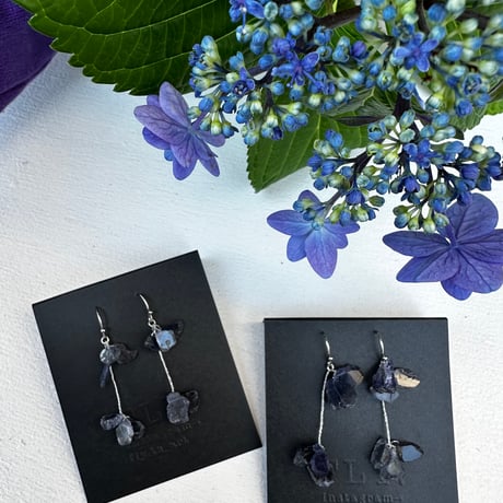 ＊限定品＊アイオライトの紫陽花ピアス、イヤリング。
