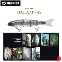 BALAM バラム300 245 セット　中古品 BALAM バラム300 245 セット 中古品 - メルカリ