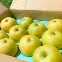 R７ 無農薬二十世紀梨５キロ （１２～１４玉）　【二十世紀終盤になりましたので5キロ販売を終了させていただきます🍐】